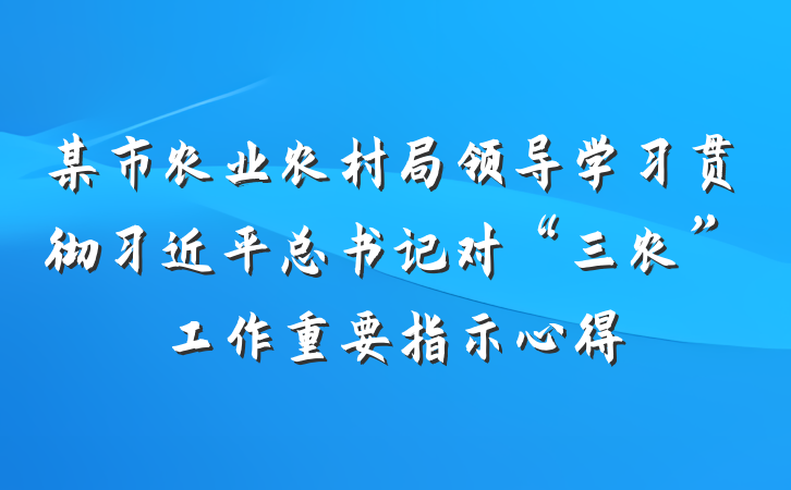 某市农业农村局领导学习贯彻习近平总书记对“三农”工作重要指示心得