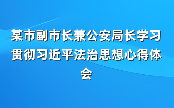 某市副市长兼公安局长学习贯彻习近平法治思想心得体会