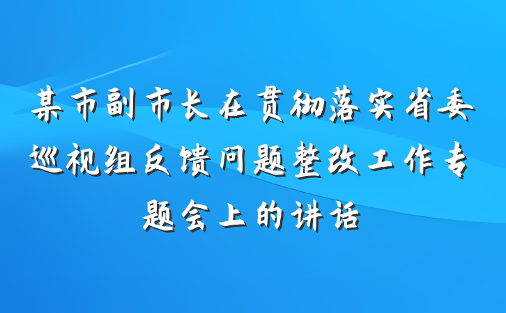 某市副市长在贯彻落实省委巡视组反馈问题整改工作专题会上的讲话