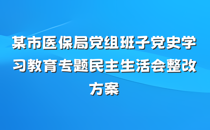 某市医保局党组班子党史学习教育专题民主生活会整改方案