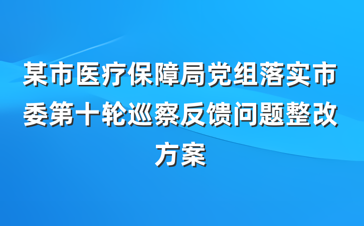 某市医疗保障局党组落实市委第十轮巡察反馈问题整改方案