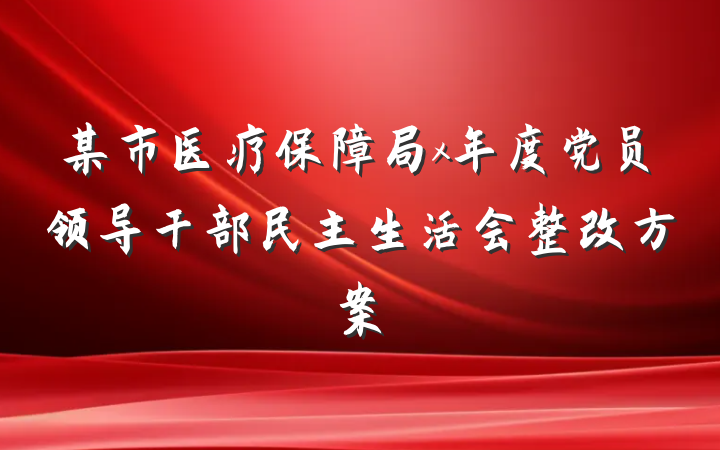 某市医疗保障局x年度党员领导干部民主生活会整改方案
