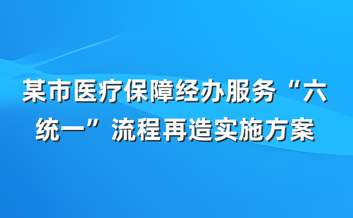 某市医疗保障经办服务“六统一”流程再造实施方案