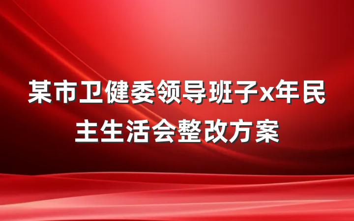 某市卫健委领导班子x年民主生活会整改方案