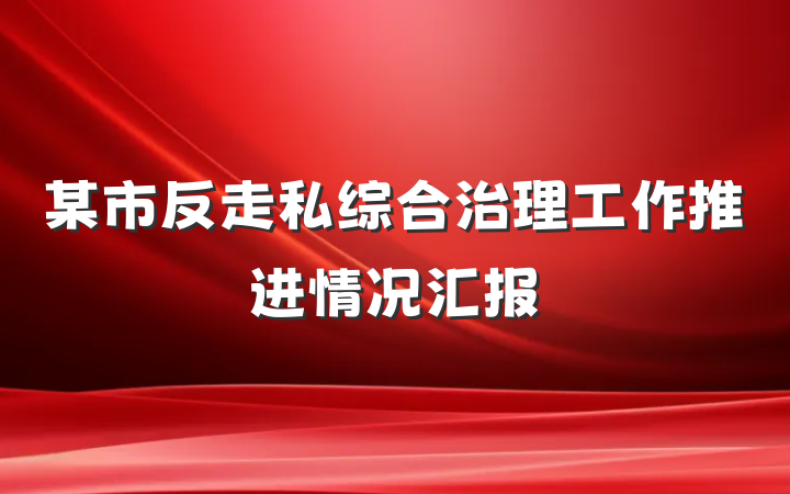 某市反走私综合治理工作推进情况汇报