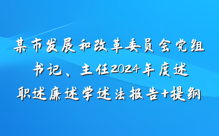 某市发展和改革委员会党组书记、主任2024年度述职述廉述学述法报告 提纲