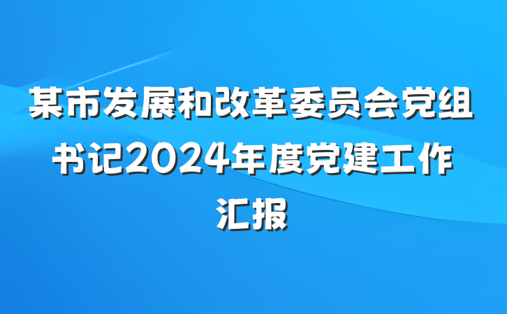 某市发展和改革委员会党组书记2024年度党建工作汇报