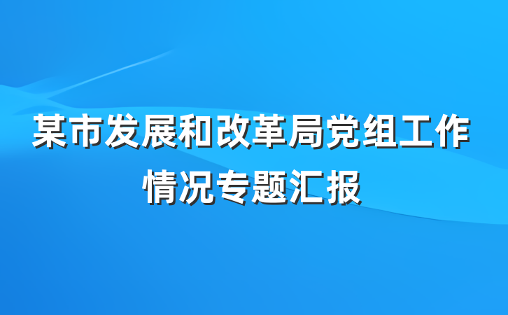 某市发展和改革局党组工作情况专题汇报