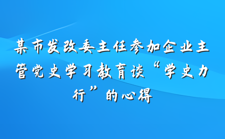 某市发改委主任参加企业主管党史学习教育谈“学史力行”的心得