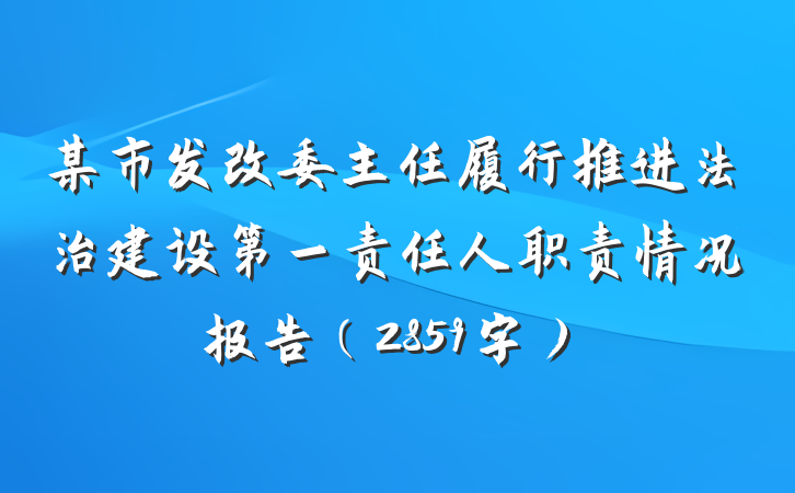 某市发改委主任履行推进法治建设第一责任人职责情况报告（2859字）