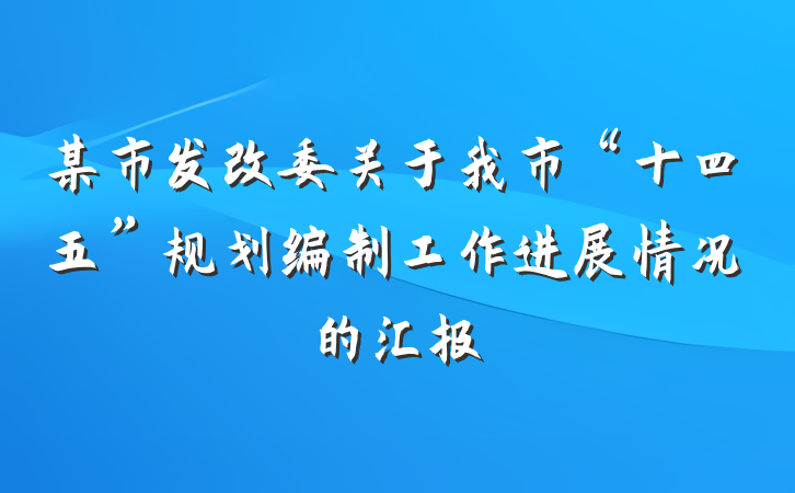某市发改委关于我市“十四五”规划编制工作进展情况的汇报