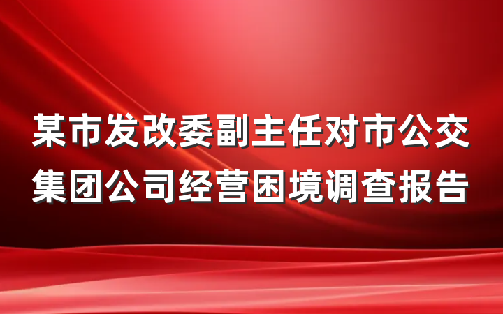 某市发改委副主任对市公交集团公司经营困境调查报告