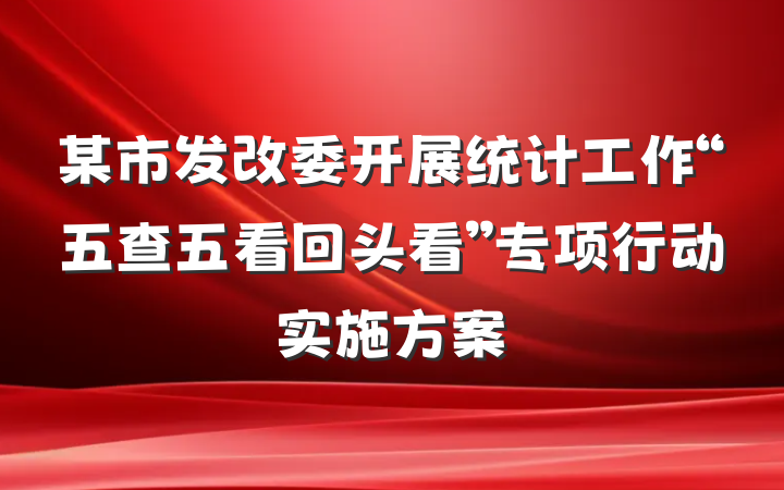 某市发改委开展统计工作“五查五看回头看”专项行动实施方案