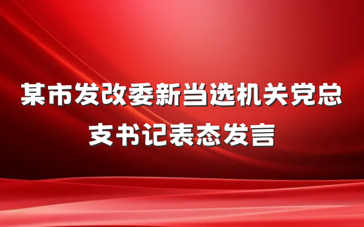 某市发改委新当选机关党总支书记表态发言