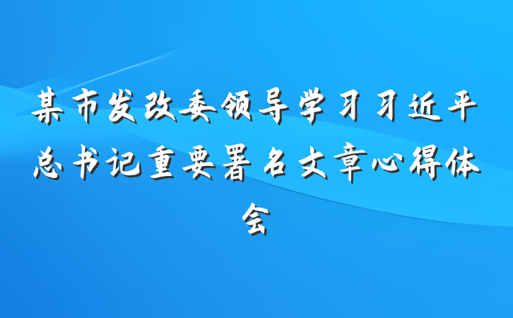 某市发改委领导学习习近平总书记重要署名文章心得体会