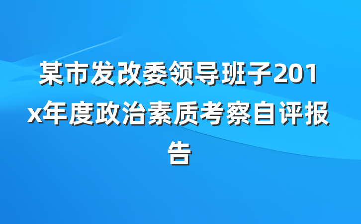 某市发改委领导班子201x年度政治素质考察自评报告