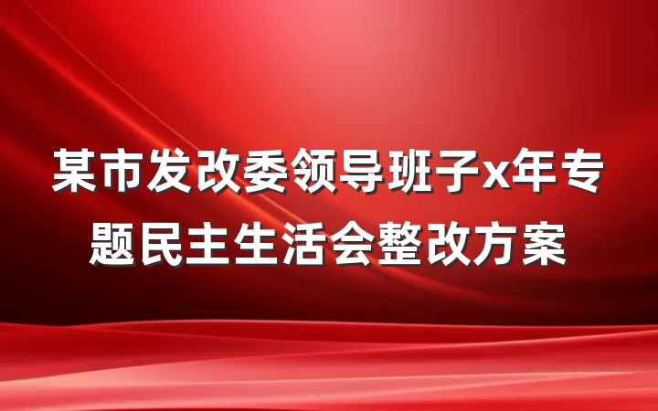 某市发改委领导班子x年专题民主生活会整改方案