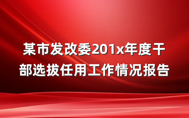 某市发改委201x年度干部选拔任用工作情况报告
