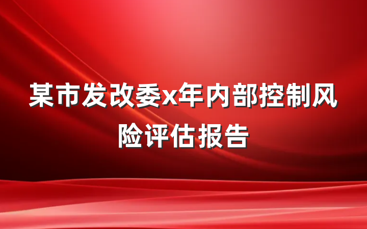 某市发改委x年内部控制风险评估报告