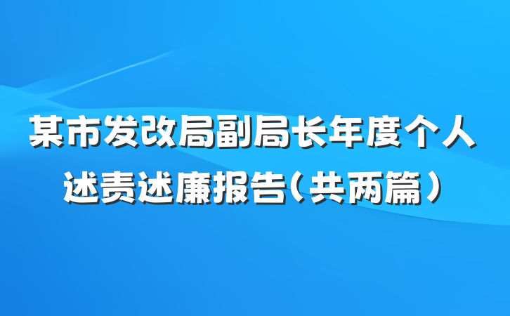 某市发改局副局长年度个人述责述廉报告（共两篇）