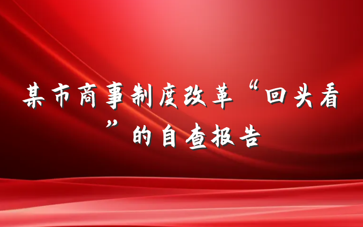 某市商事制度改革“回头看”的自查报告