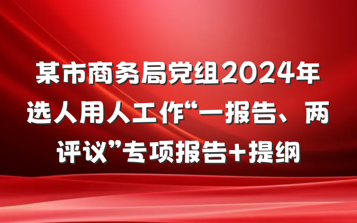 某市商务局党组2024年选人用人工作“一报告、两评议”专项报告 提纲