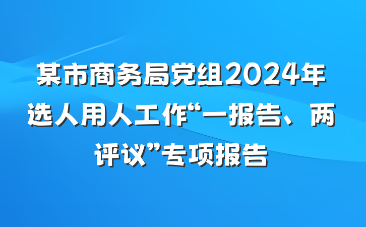 某市商务局党组2024年选人用人工作“一报告、两评议”专项报告