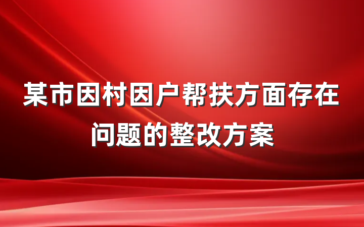 某市因村因户帮扶方面存在问题的整改方案