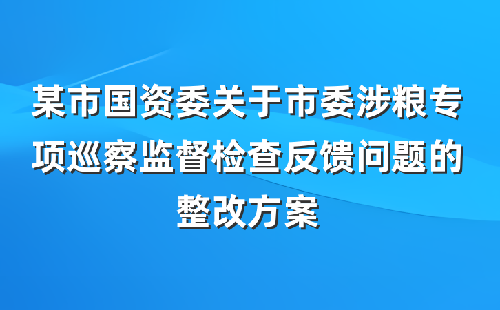 某市国资委关于市委涉粮专项巡察监督检查反馈问题的整改方案