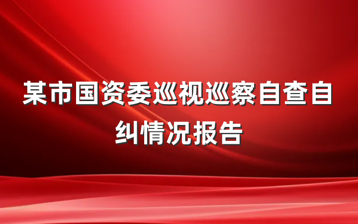 某市国资委巡视巡察自查自纠情况报告