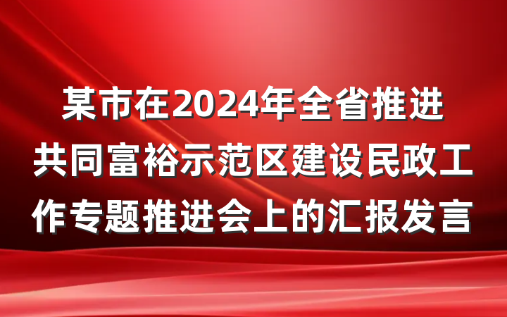 某市在2024年全省推进共同富裕示范区建设民政工作专题推进会上的汇报发言