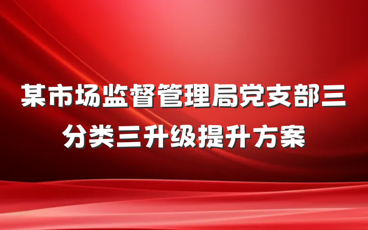 某市场监督管理局党支部三分类三升级提升方案