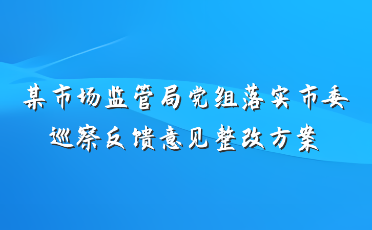 某市场监管局党组落实市委巡察反馈意见整改方案