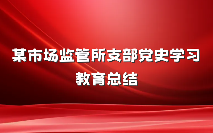 某市场监管所支部党史学习教育总结