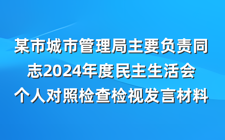 某市城市管理局主要负责同志2024年度民主生活会个人对照检查检视发言材料