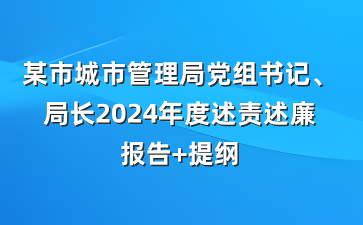 某市城市管理局党组书记、局长2024年度述责述廉报告 提纲