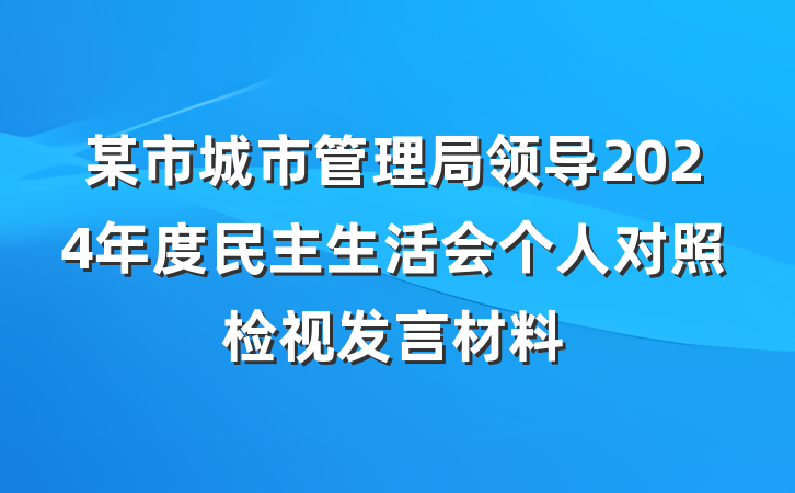 某市城市管理局领导2024年度民主生活会个人对照检视发言材料