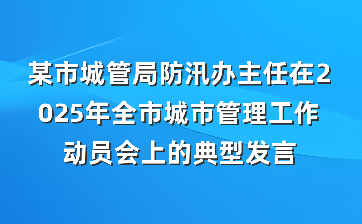 某市城管局防汛办主任在2025年全市城市管理工作动员会上的典型发言