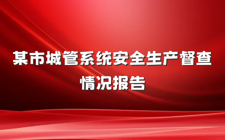 某市城管系统安全生产督查情况报告