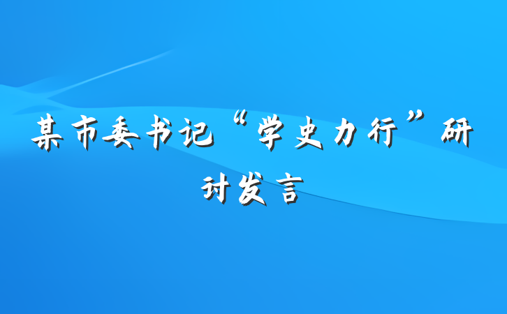 某市委书记“学史力行”研讨发言