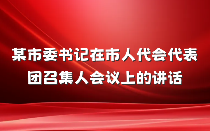 某市委书记在市人代会代表团召集人会议上的讲话