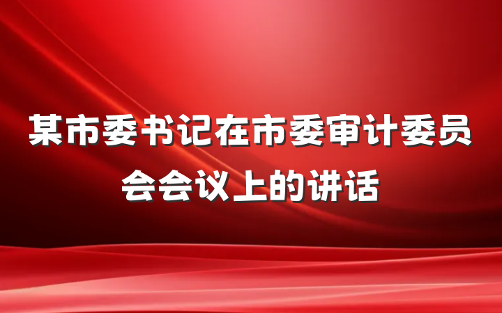 某市委书记在市委审计委员会会议上的讲话