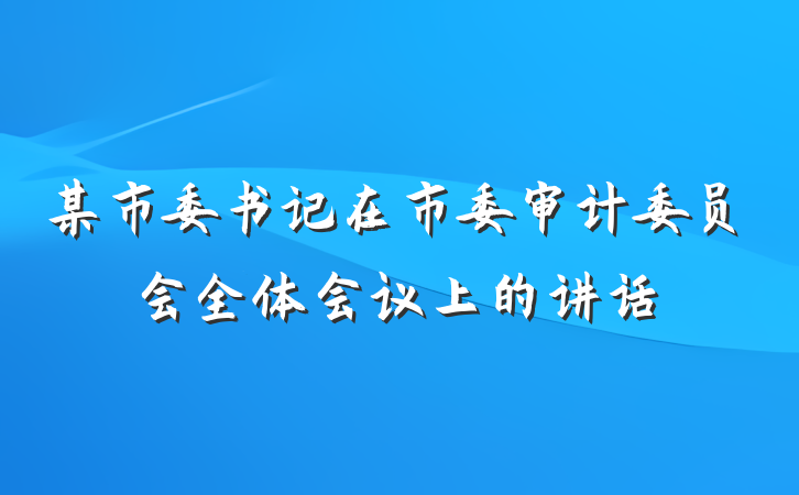某市委书记在市委审计委员会全体会议上的讲话