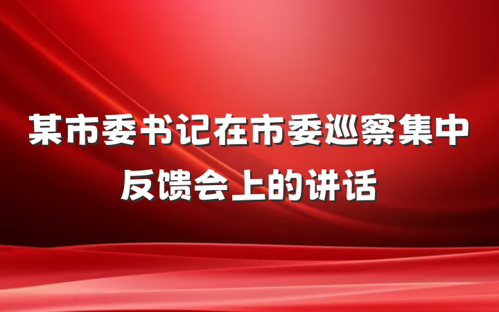 某市委书记在市委巡察集中反馈会上的讲话
