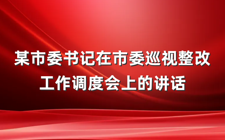 某市委书记在市委巡视整改工作调度会上的讲话