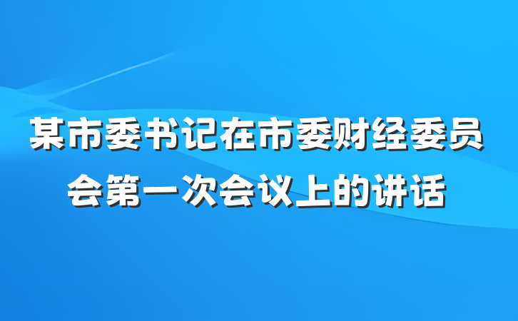 某市委书记在市委财经委员会第一次会议上的讲话