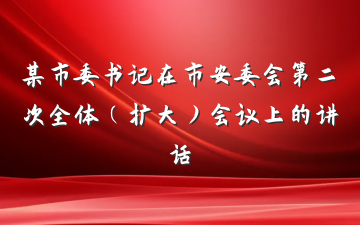 某市委书记在市安委会第二次全体（扩大）会议上的讲话