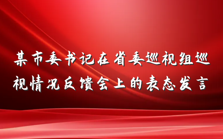 某市委书记在省委巡视组巡视情况反馈会上的表态发言