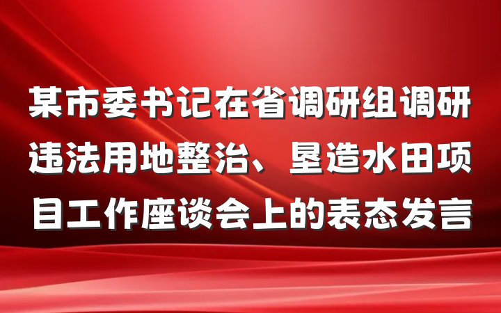 某市委书记在省调研组调研违法用地整治、垦造水田项目工作座谈会上的表态发言