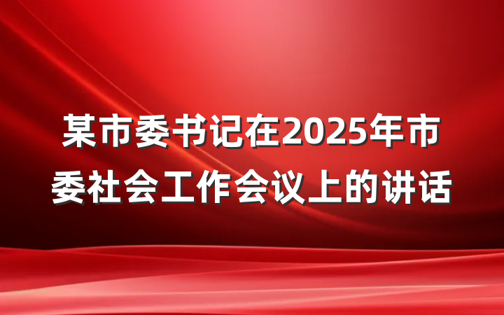 某市委书记在2025年市委社会工作会议上的讲话